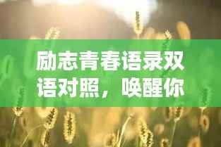 励志青春语录双语对照,唤醒你内心的力量!