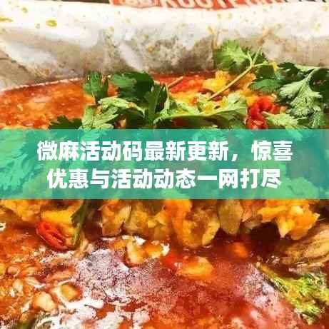 微麻活动码最新更新,惊喜优惠与活动动态一网打尽