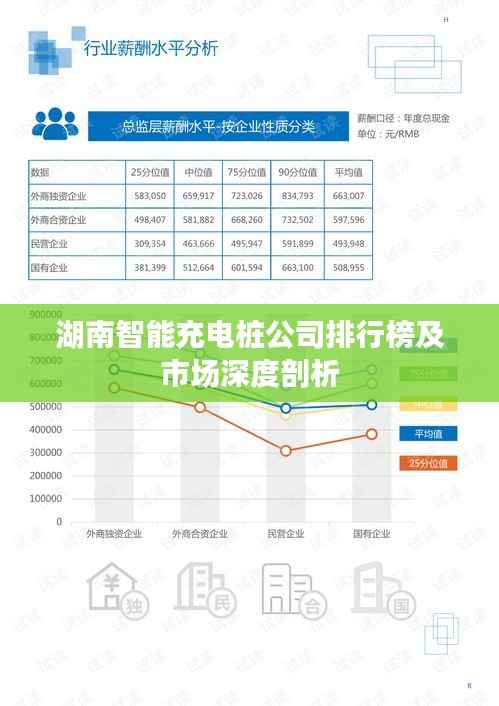 湖南智能充电桩公司排行榜及市场深度剖析