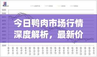 今日鸭肉市场行情深度解析,最新价格走势分析