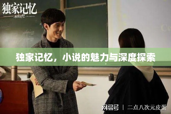 独家记忆,小说的魅力与深度探索