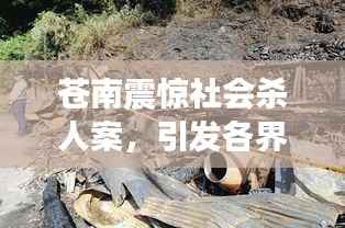 苍南震惊社会杀人案,引发各界深思与关注