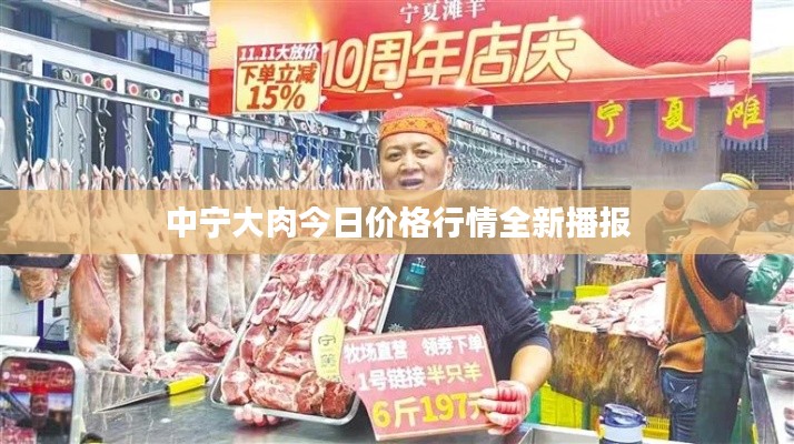 中宁大肉今日价格行情全新播报