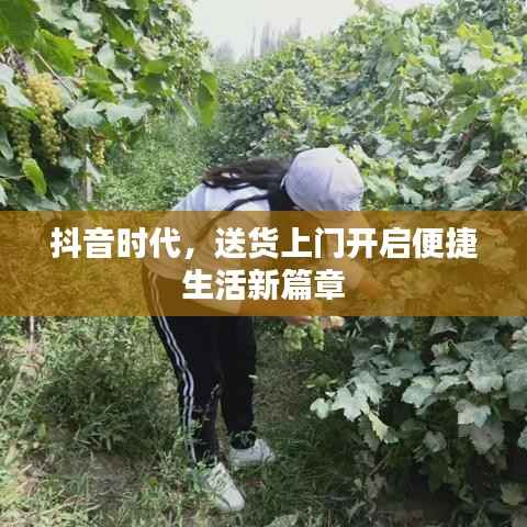 抖音时代,送货上门开启便捷生活新篇章