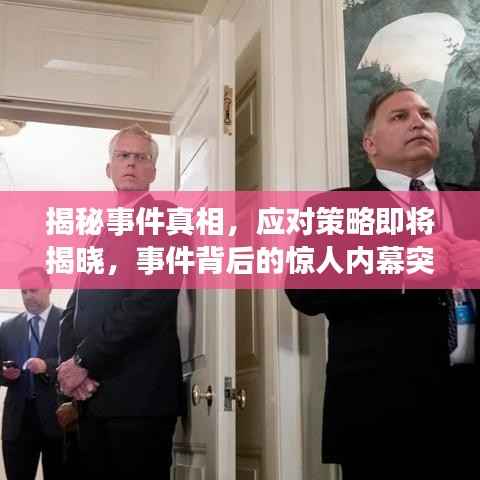 揭秘事件真相,应对策略即将揭晓,事件背后的惊人内幕突发声明!