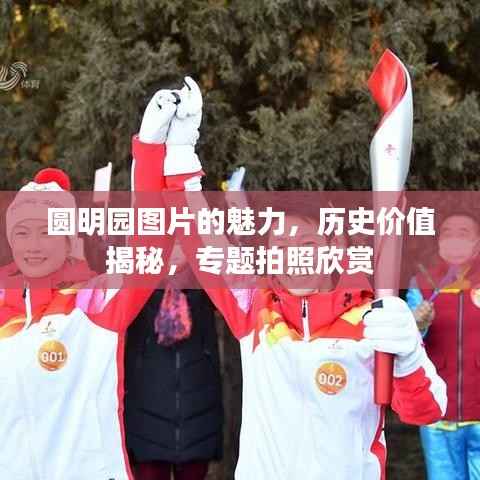 圆明园图片的魅力,历史价值揭秘,专题拍照欣赏