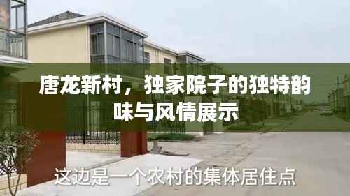 唐龙新村,独家院子的独特韵味与风情展示