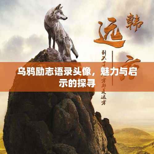 乌鸦励志语录头像,魅力与启示的探寻