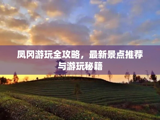 yarenqingzhi 第5页