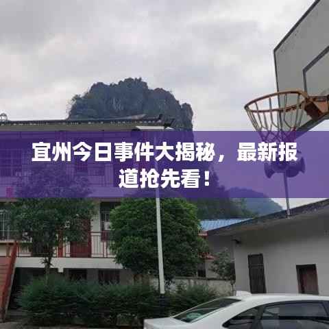 神采奕奕 第6页