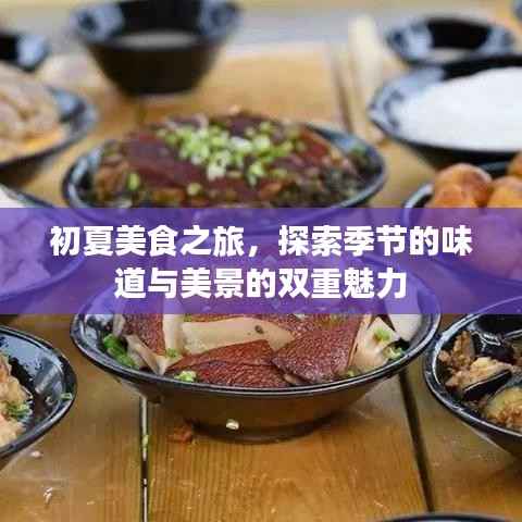 初夏美食之旅,探索季节的味道与美景的双重魅力