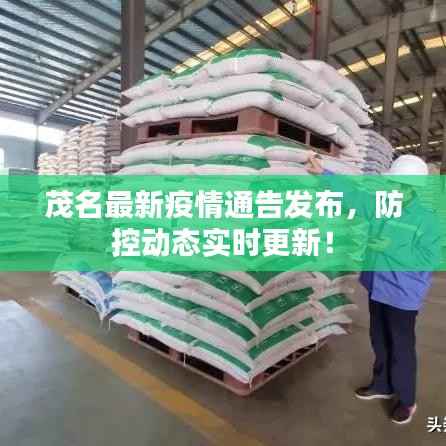 茂名最新疫情通告发布,防控动态实时更新!