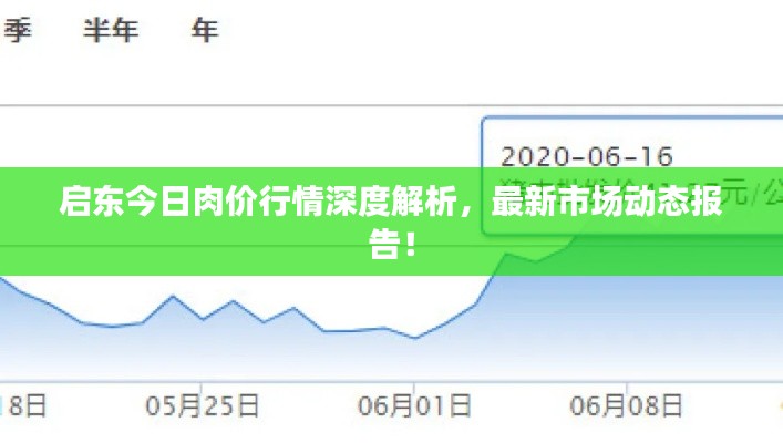 启东今日肉价行情深度解析,最新市场动态报告!