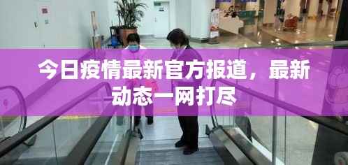 商品分类 第85页