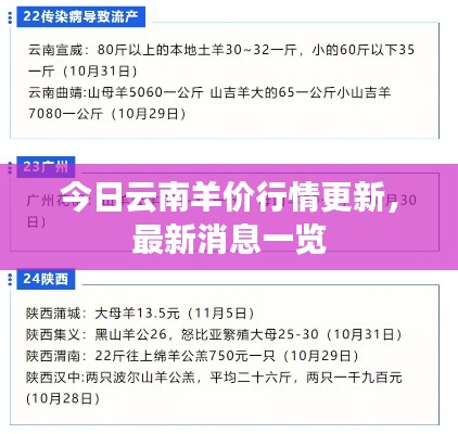 今日云南羊价行情更新,最新消息一览