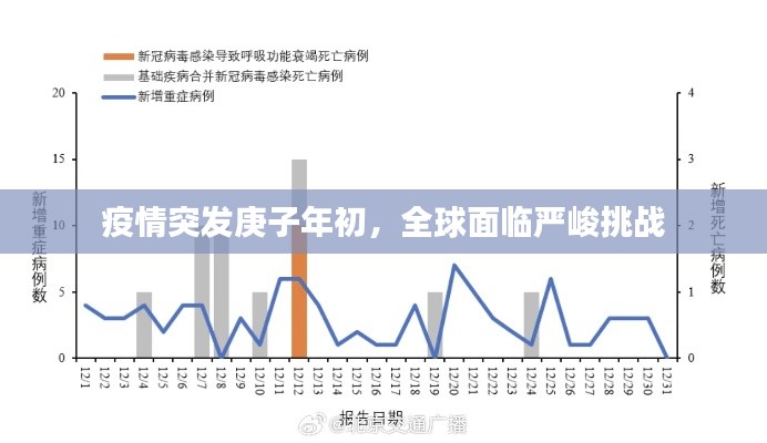 疫情突发庚子年初，全球面临严峻挑战