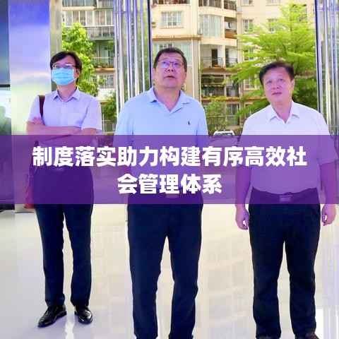 制度落实助力构建有序高效社会管理体系