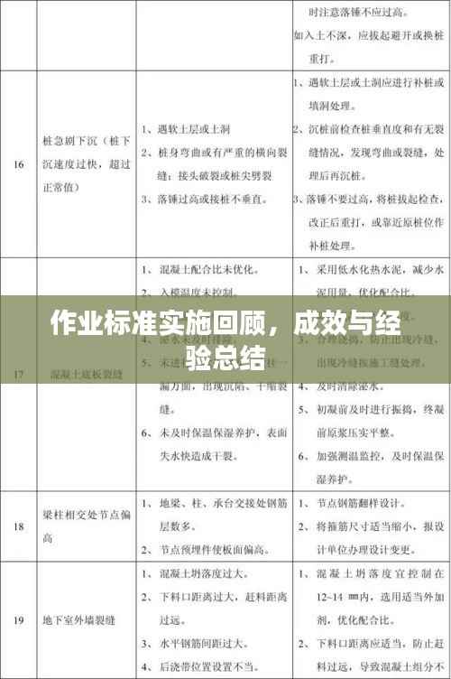 作业标准实施回顾,成效与经验总结