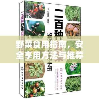 野菜食用指南,安全享用方法与推荐美食清单