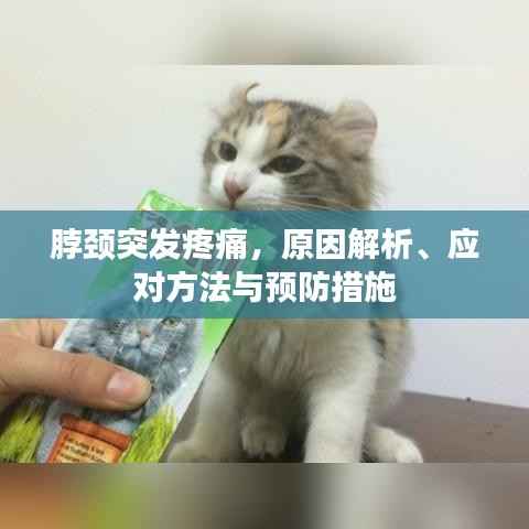 脖颈突发疼痛，原因解析、应对方法与预防措施