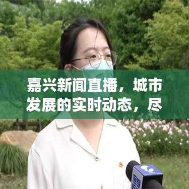 嘉兴新闻直播,城市发展的实时动态,尽在头条直播窗口