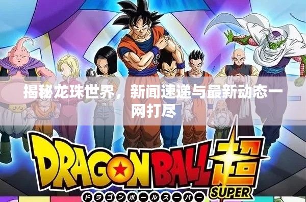 揭秘龙珠世界,新闻速递与最新动态一网打尽