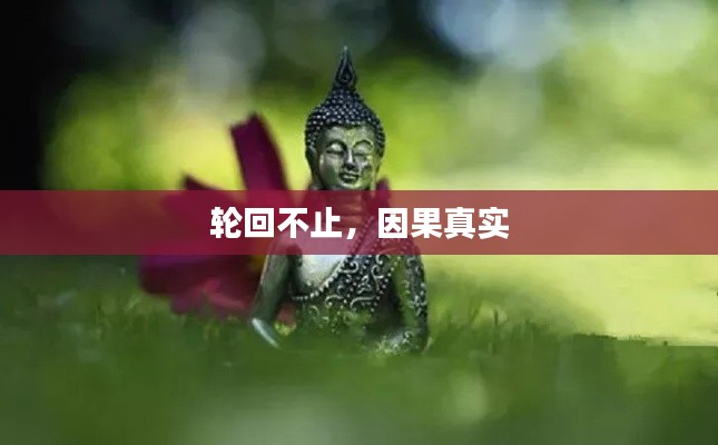 轮回不止,因果真实