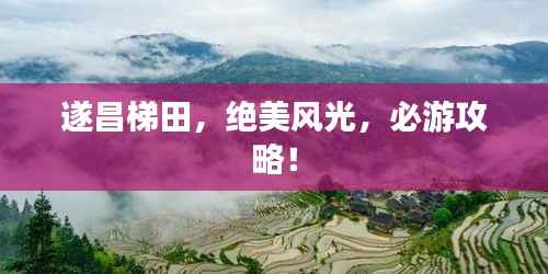 遂昌梯田，绝美风光，必游攻略！