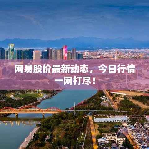 网易股价最新动态,今日行情一网打尽!