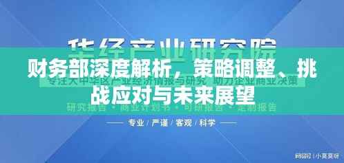 财务部深度解析,策略调整、挑战应对与未来展望