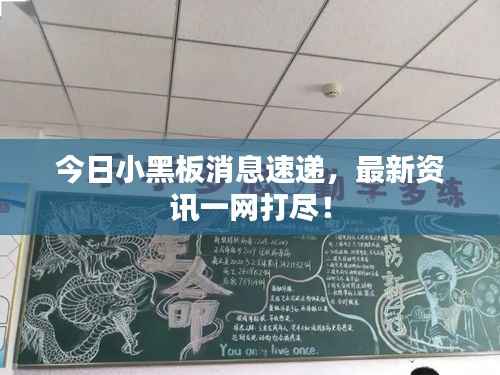 今日小黑板消息速递,最新资讯一网打尽!