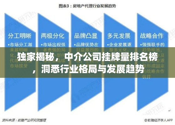 独家揭秘，中介公司挂牌量排名榜，洞悉行业格局与发展趋势