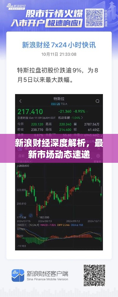 新浪财经深度解析，最新市场动态速递